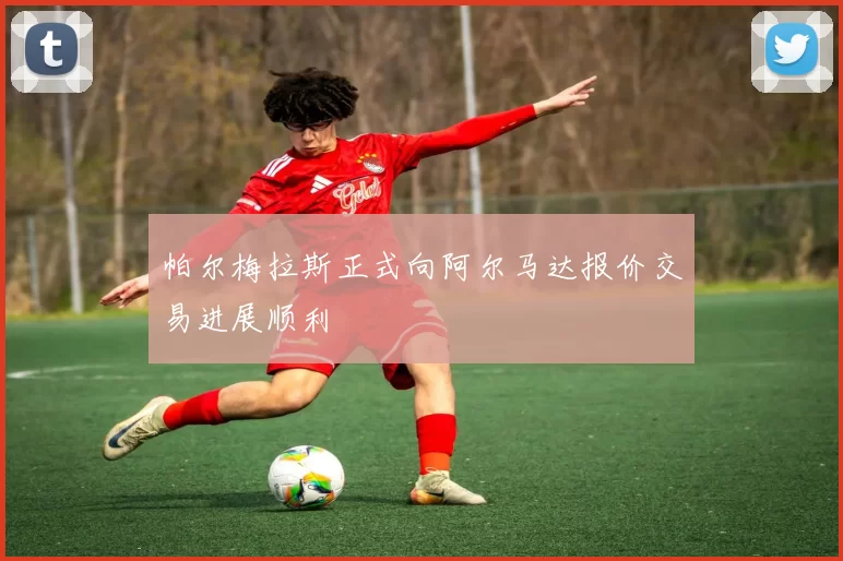 帕尔梅拉斯正式向阿尔马达报价交易进展顺利