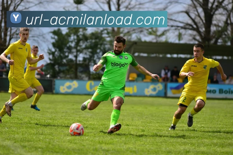 多媒体互动体验